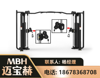 台州大飞鸟训练器
