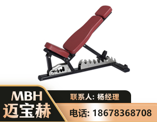 台州可调哑铃椅